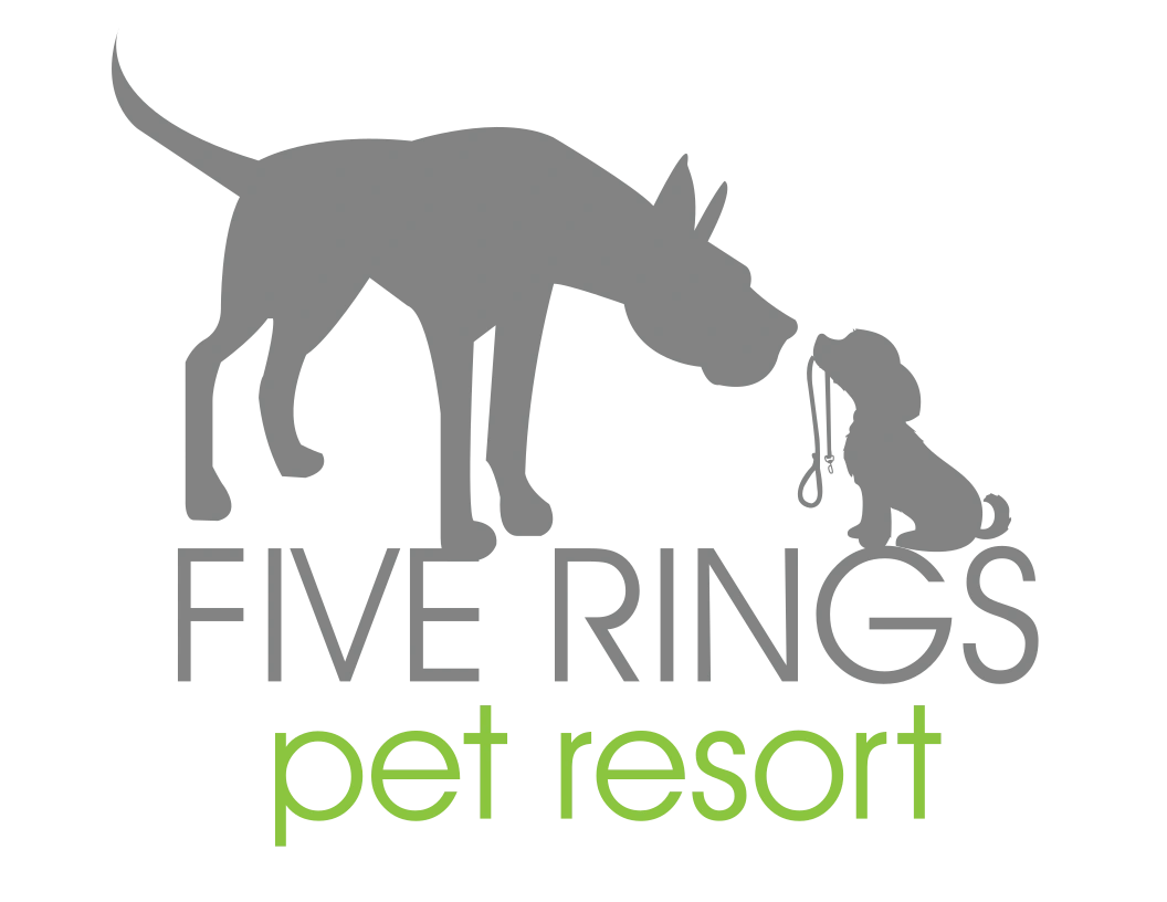 Dog sales daycare training